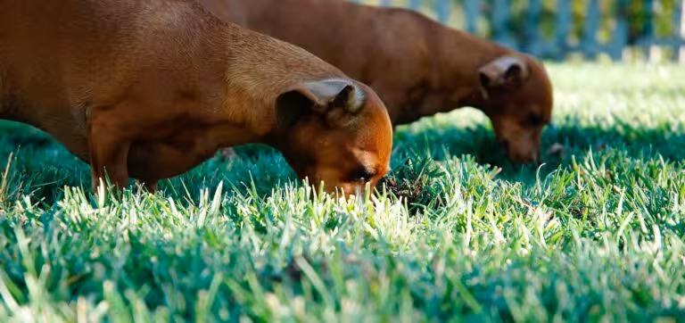 Unde excepturi eveniet itaque molestias alias