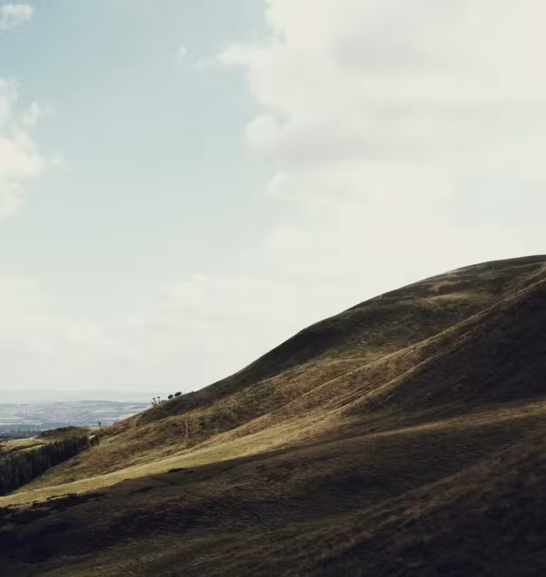 Aut nisi accusamus sed excepturi distinctio quia