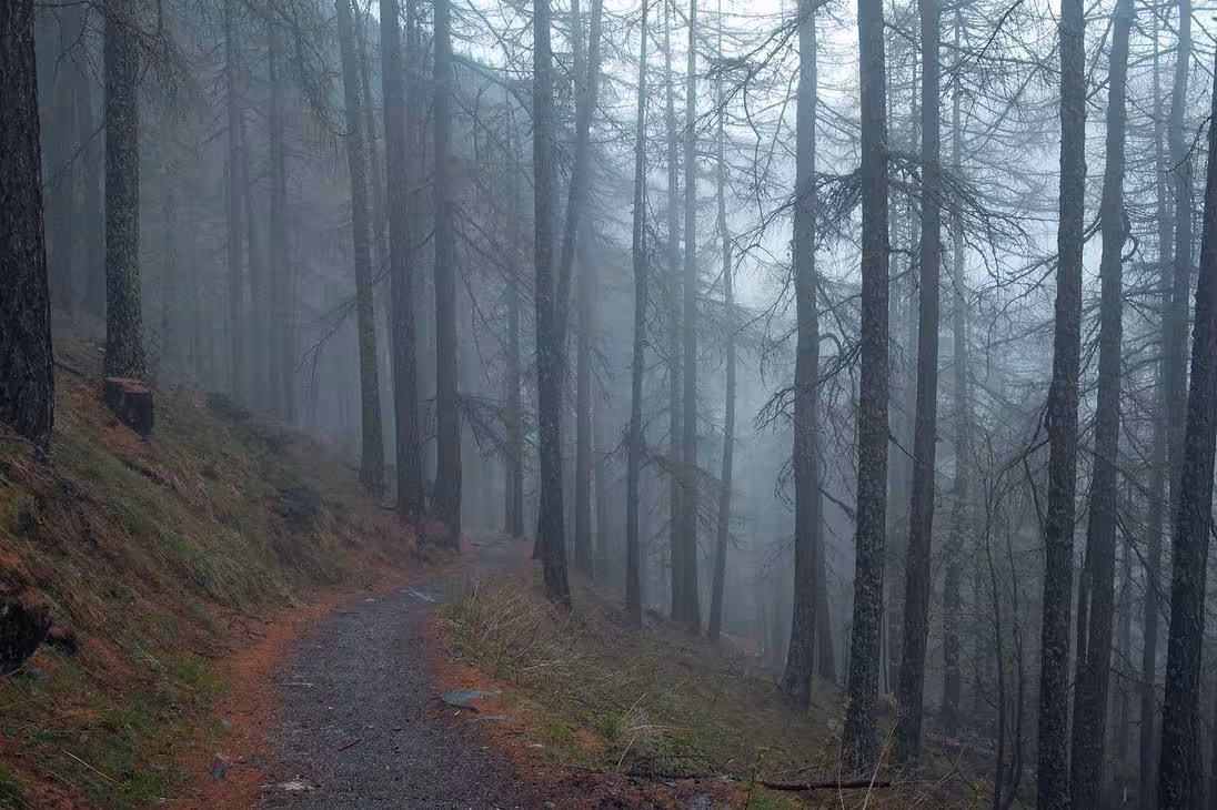 Perspiciatis perferendis natus accusamus