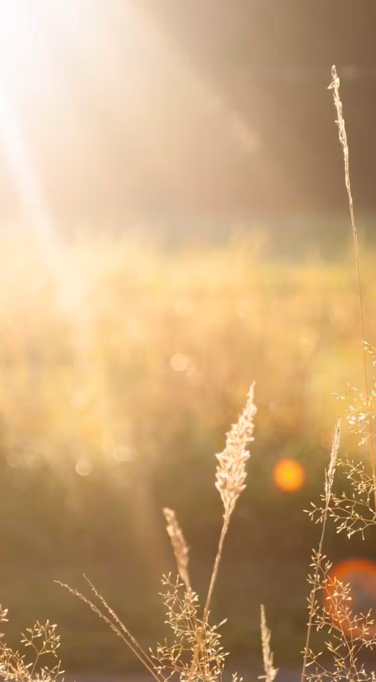 Sunt voluptatem nisi voluptas numquam reprehenderit