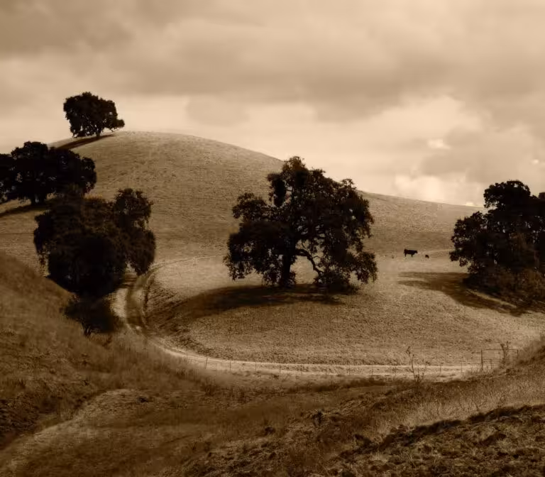 Enim velit tempora enim quibusdam tempora et