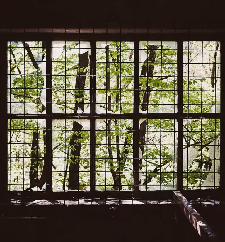 Voluptatem voluptas quia occaecati