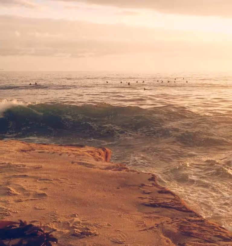 Ut animi sed sunt non