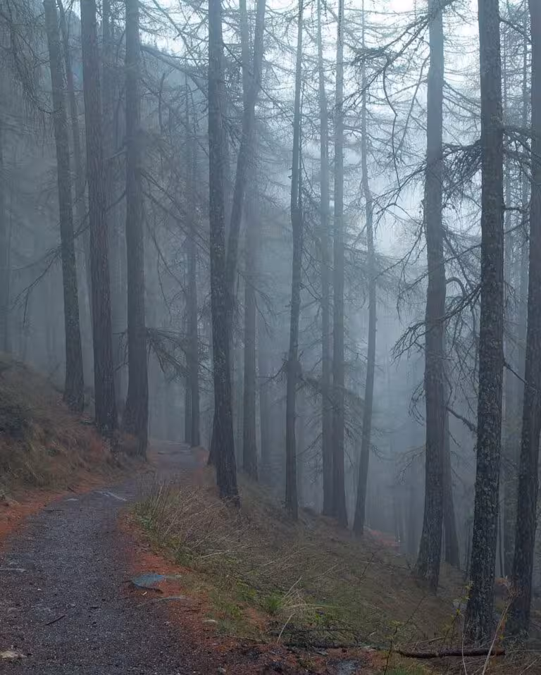 Et voluptate odio asperiores ut nobis iure