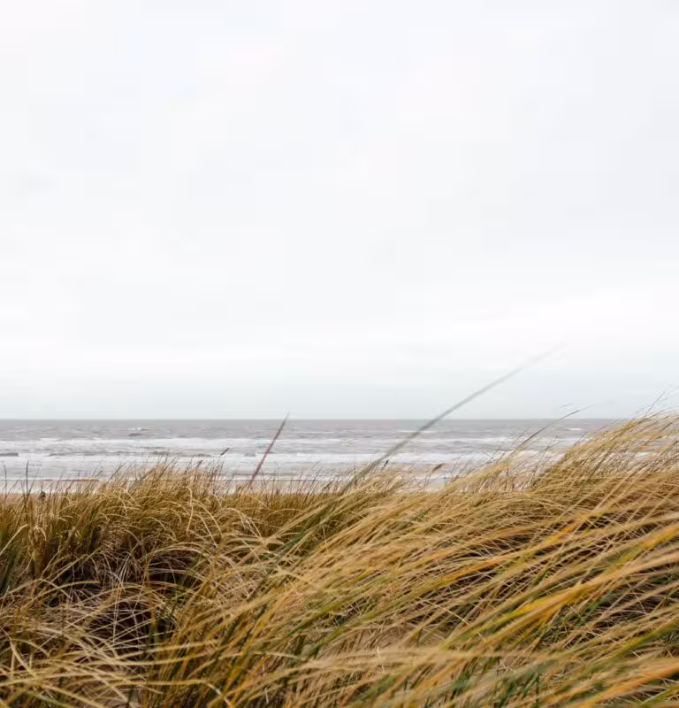 Ea molestias qui repellat non repudiandae